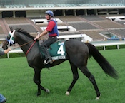 Viscount Nelson with Kevin Shea aboard<br>Photo by Whistlejacket